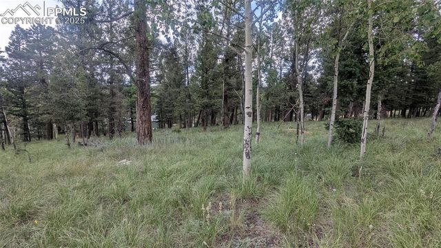 924 Will Scarlet Drive, Divide, CO 80814