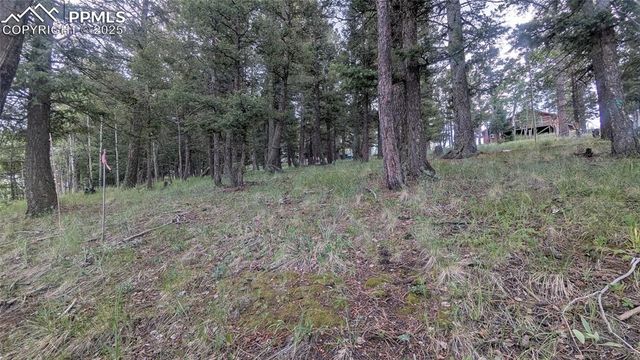 924 Will Scarlet Drive, Divide, CO 80814