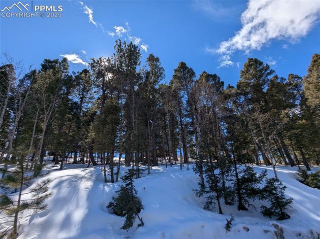 924 Will Scarlet Drive, Divide, CO 80814