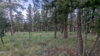 924 Will Scarlet Drive, Divide, CO 80814