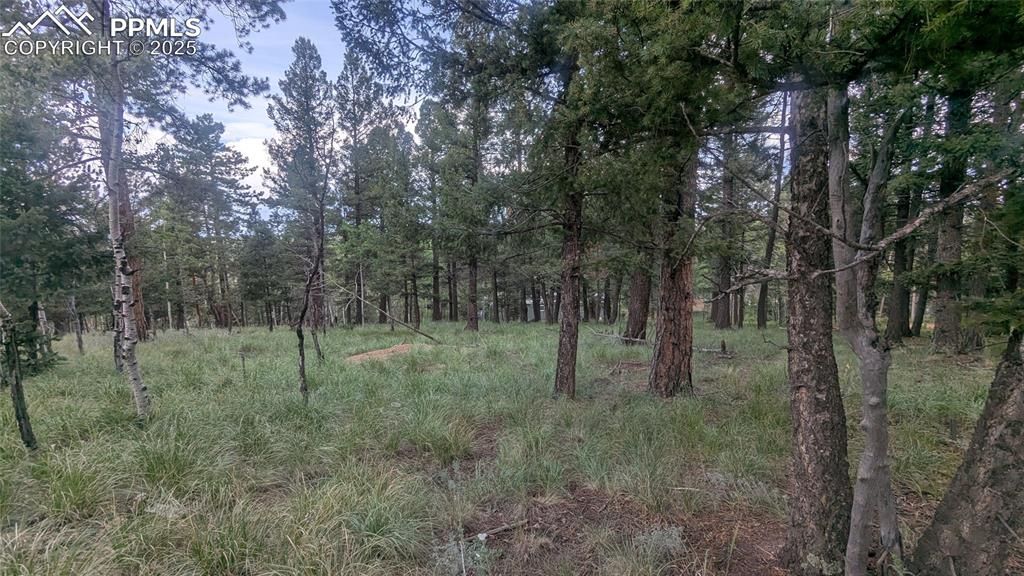 924 Will Scarlet Drive, Divide, CO 80814