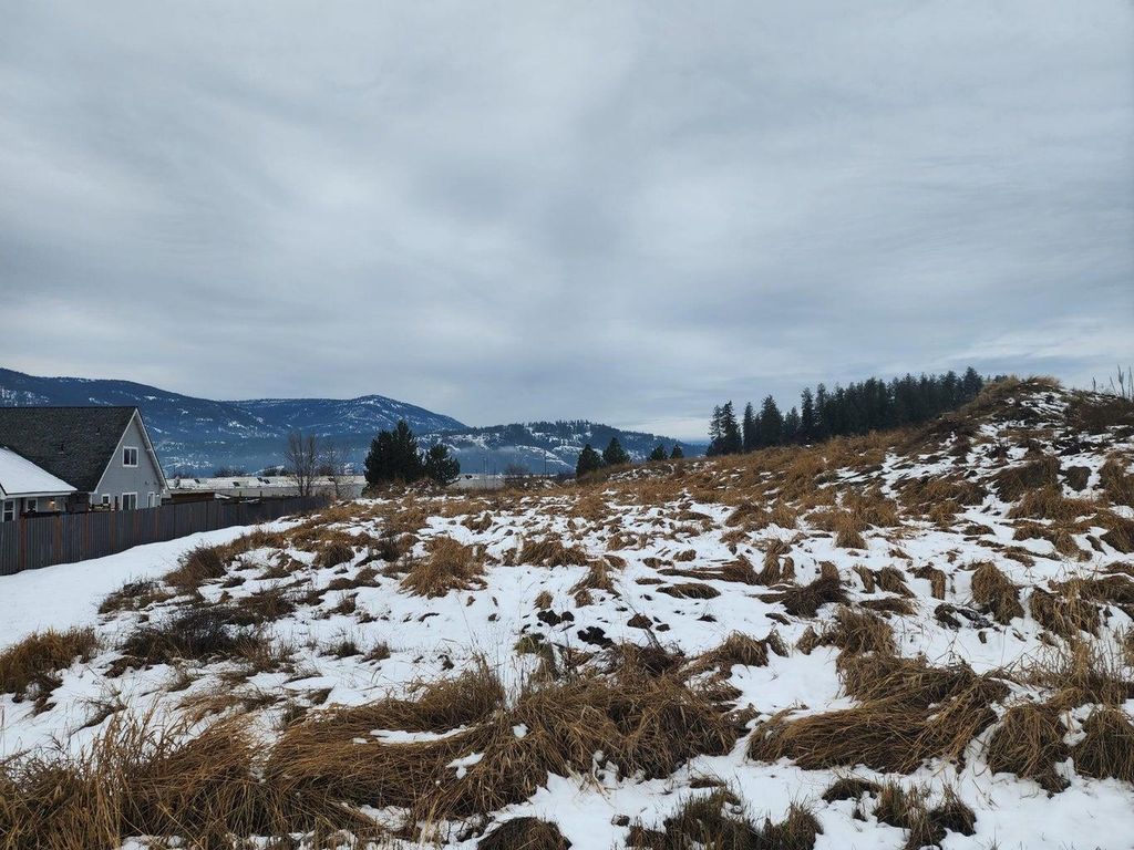 11XX N Railroad St, Colville, WA 99114 photo 7