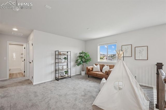 8226 Buffalo Horn Drive, Colorado Springs, CO 80925