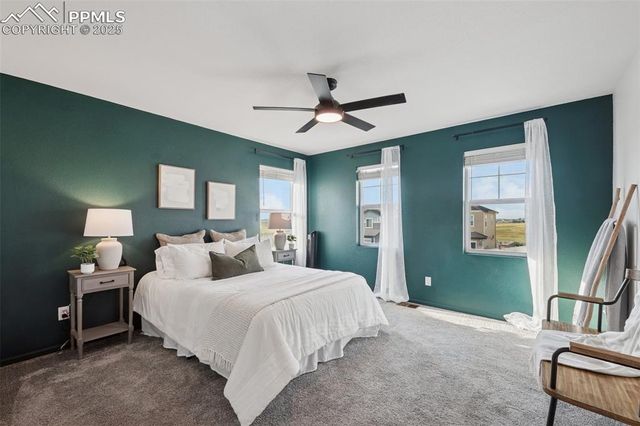 8226 Buffalo Horn Drive, Colorado Springs, CO 80925