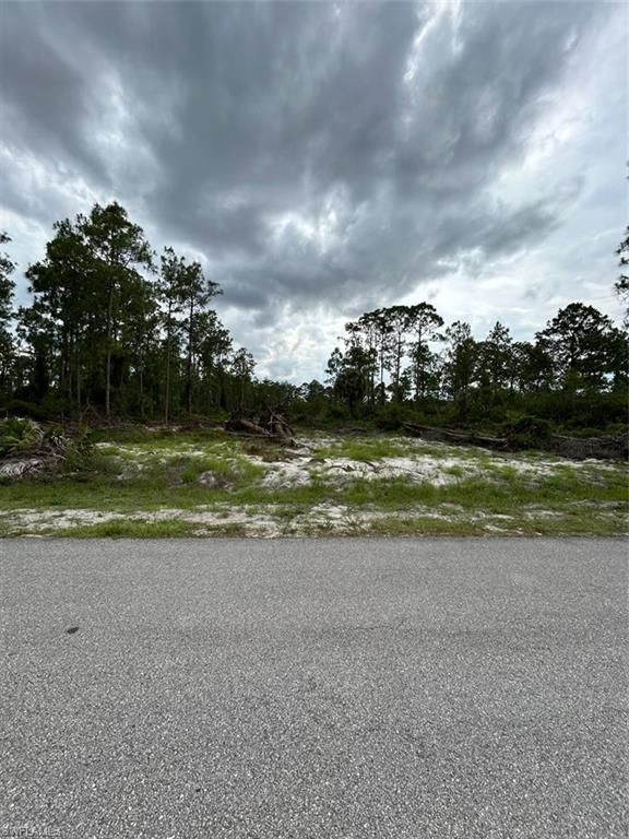 1123 Leroy AVE, LEHIGH ACRES, FL 33972 — photo 2