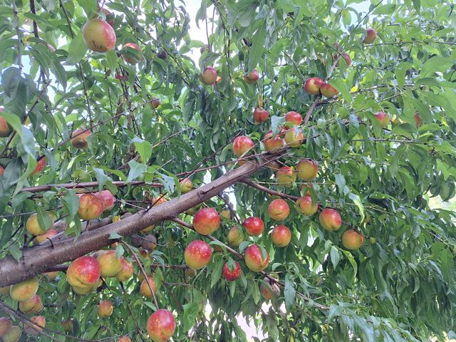 3403 Dubuque Avenue, Des Moines, IA 50317