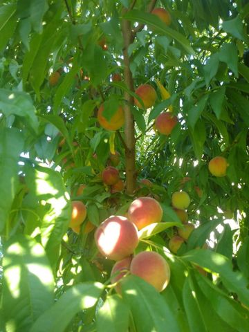 3403 Dubuque Avenue, Des Moines, IA 50317