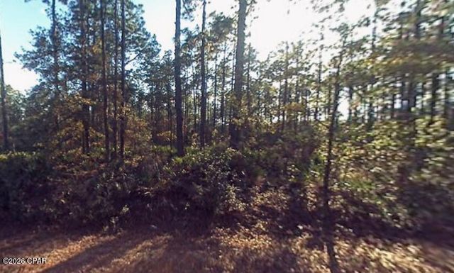 0 Hibiscus Street, Fountain, FL 32438