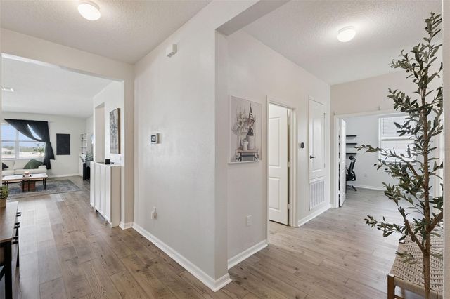 2429 BEGONIA STREET, Mascotte, FL 34753
