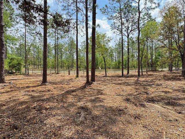 SW DEERPARK HEIGHTS ROAD, Dunnellon, FL 34431
