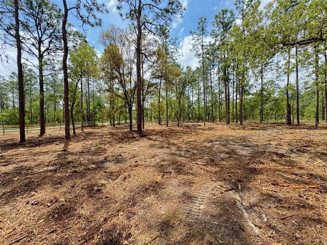 SW DEERPARK HEIGHTS ROAD, Dunnellon, FL 34431
