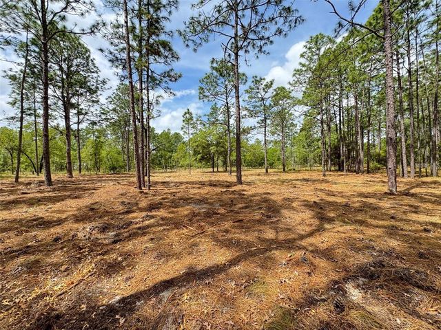 SW DEERPARK HEIGHTS ROAD, Dunnellon, FL 34431