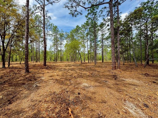 SW DEERPARK HEIGHTS ROAD, Dunnellon, FL 34431