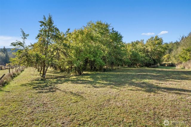 259 10 Tooley Rd, Toledo, WA 98591