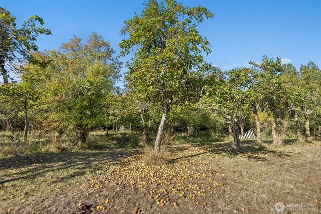 259 10 Tooley Rd, Toledo, WA 98591