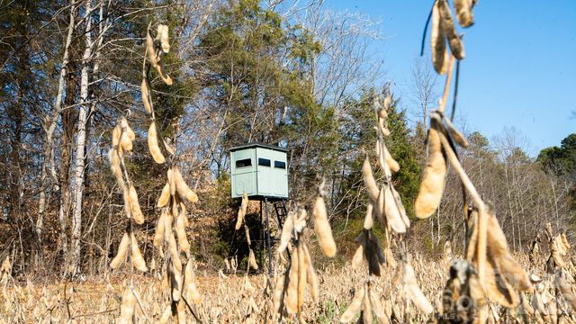 530 Upright Road, Mt Ulla, NC 28125