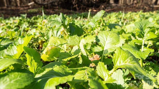 530 Upright Road, Mt Ulla, NC 28125