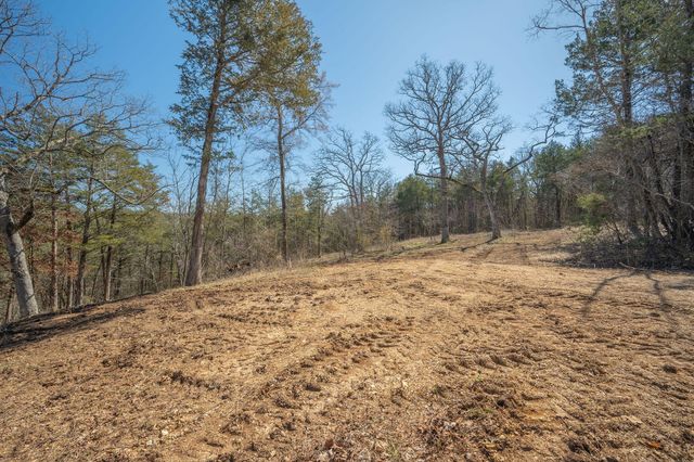 000 Farm Road 1200, Eagle Rock, MO 65641