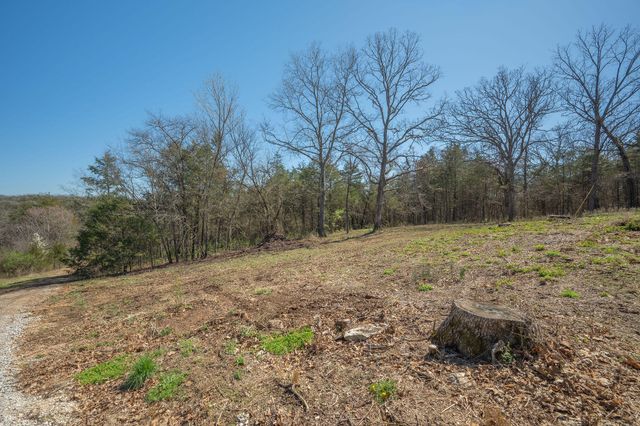000 Farm Road 1200, Eagle Rock, MO 65641