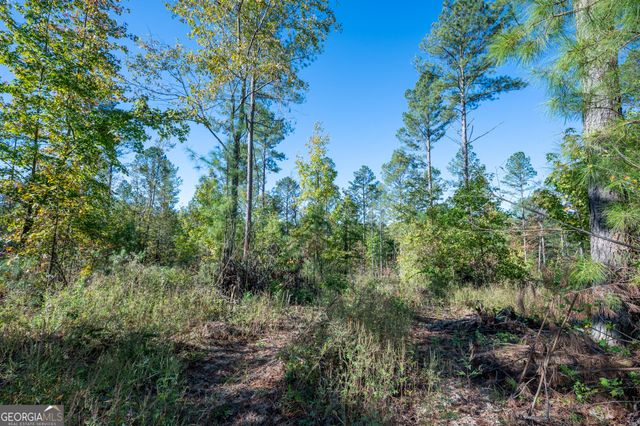 3863 HWY 140 NE, Rydal, GA 30171