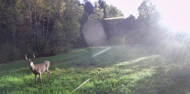 61 Twin Hill Road, Westford, VT 05494