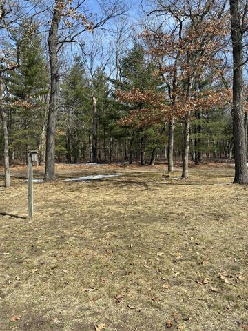 7451 W 76th Street, Baldwin, MI 49304