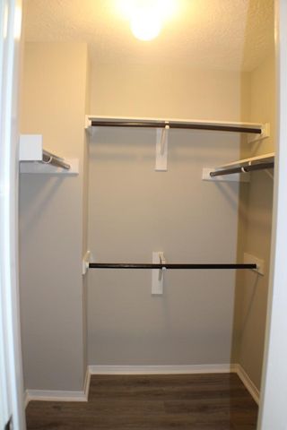 2411 Rose Hollow Drive, Katy, TX 77450