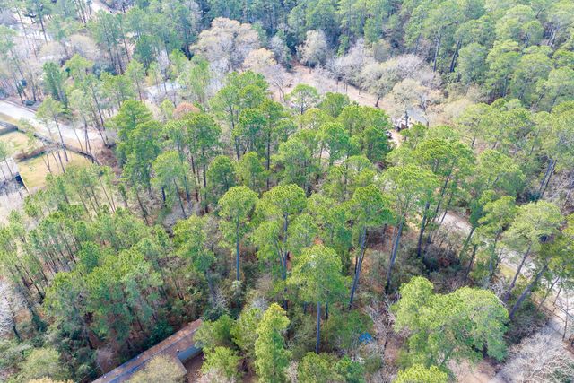 0 Forest Drive, Montgomery, TX 77356