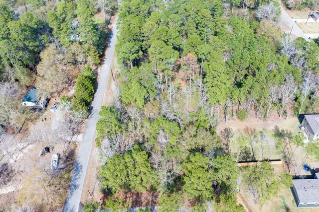 0 Forest Drive, Montgomery, TX 77356