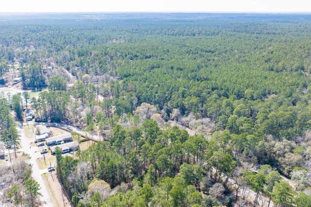 0 Forest Drive, Montgomery, TX 77356