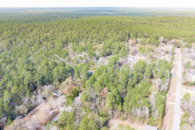 0 Forest Drive, Montgomery, TX 77356