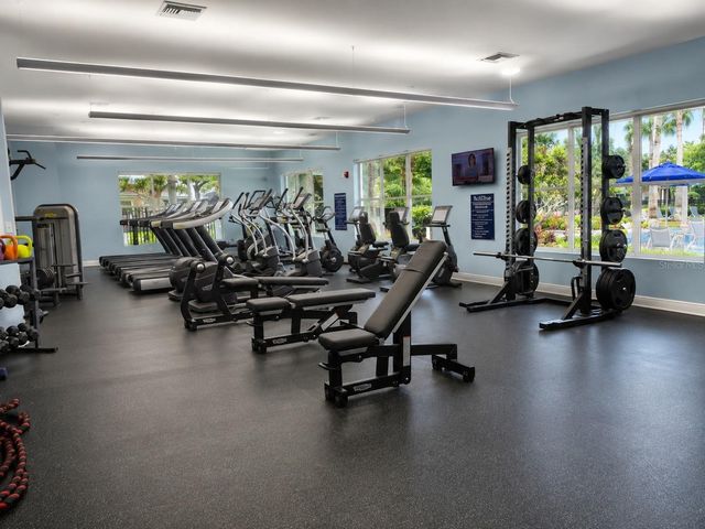1230 BELLA CARA COURT, Davenport, FL 33896
