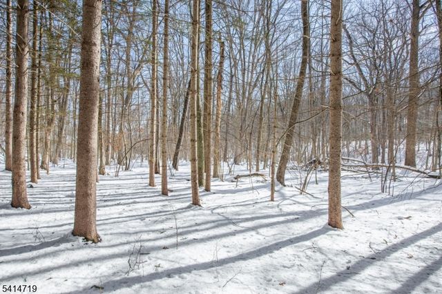 181 Center Grove Rd, Randolph Twp., NJ 07869