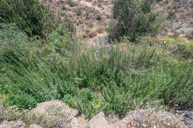 Big Springs Road Road, Agua Dulce, CA 91350