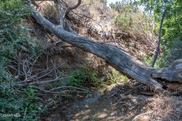 Big Springs Road Road, Agua Dulce, CA 91350