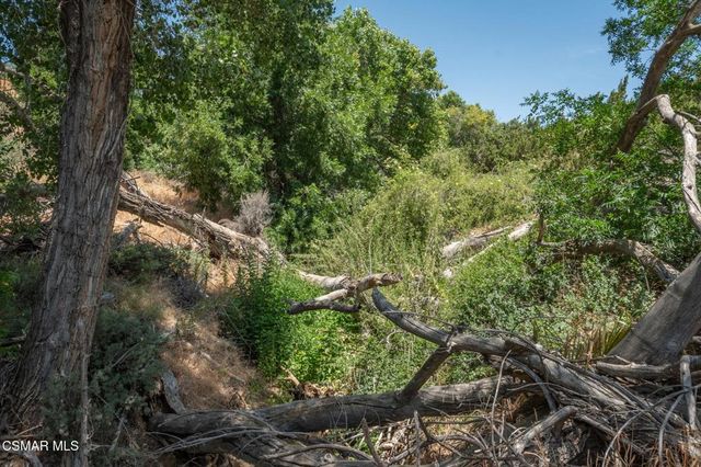 Big Springs Road Road, Agua Dulce, CA 91350