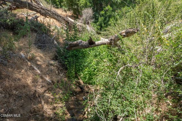 Big Springs Road Road, Agua Dulce, CA 91350