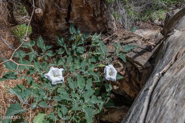 Big Springs Road Road, Agua Dulce, CA 91350