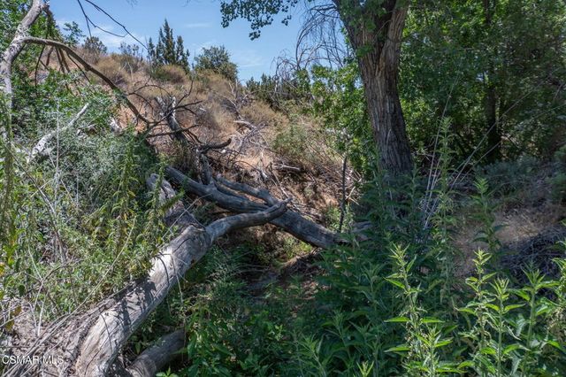 Big Springs Road Road, Agua Dulce, CA 91350