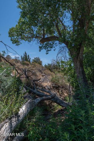 Big Springs Road Road, Agua Dulce, CA 91350