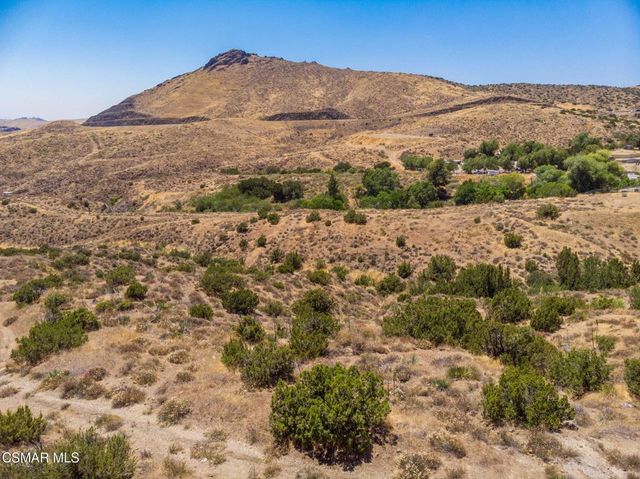 Big Springs Road Road, Agua Dulce, CA 91350
