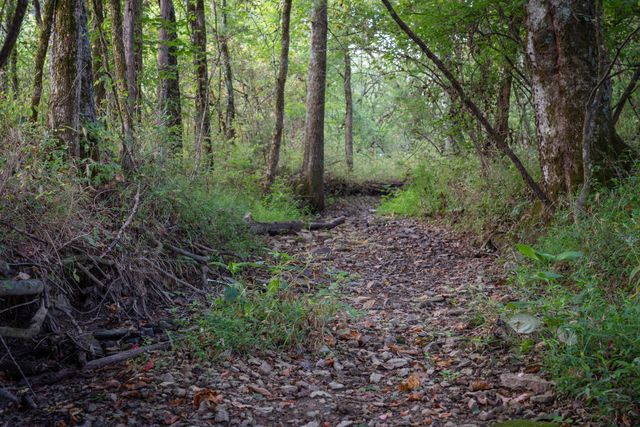 0 Choctaw Road, College Grove, TN 37046