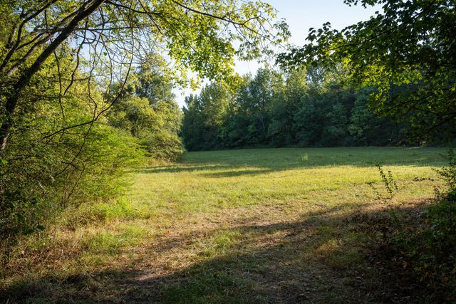 0 Choctaw Road, College Grove, TN 37046