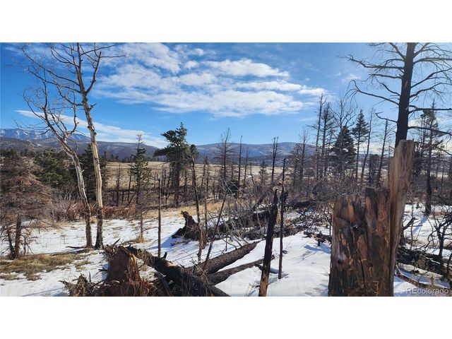 449 Duckworth Dr, Fort Garland, CO 81133