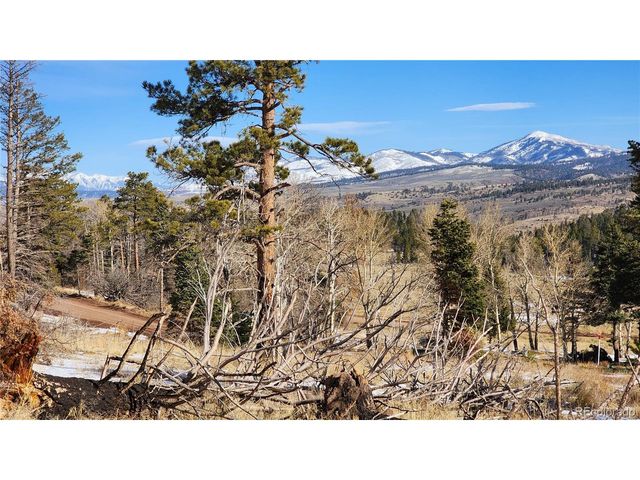 449 Duckworth Dr, Fort Garland, CO 81133