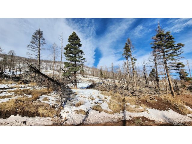 449 Duckworth Dr, Fort Garland, CO 81133