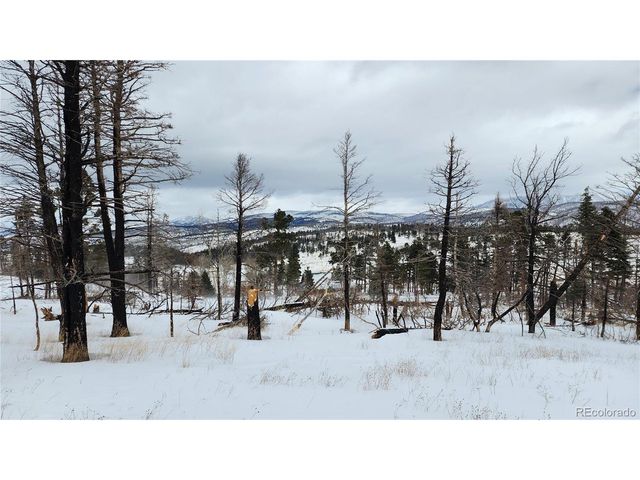 449 Duckworth Dr, Fort Garland, CO 81133