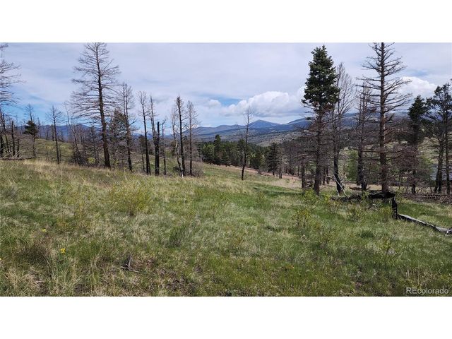 449 Duckworth Dr, Fort Garland, CO 81133