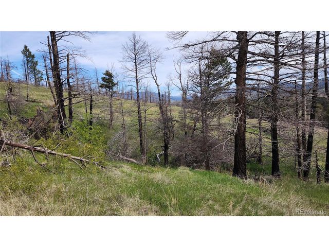 449 Duckworth Dr, Fort Garland, CO 81133