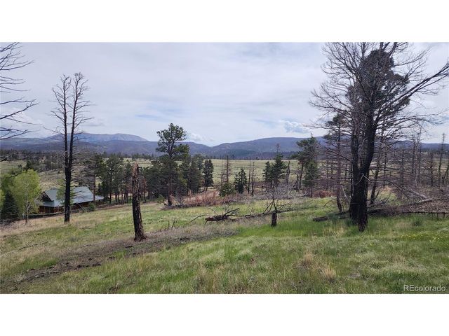 449 Duckworth Dr, Fort Garland, CO 81133